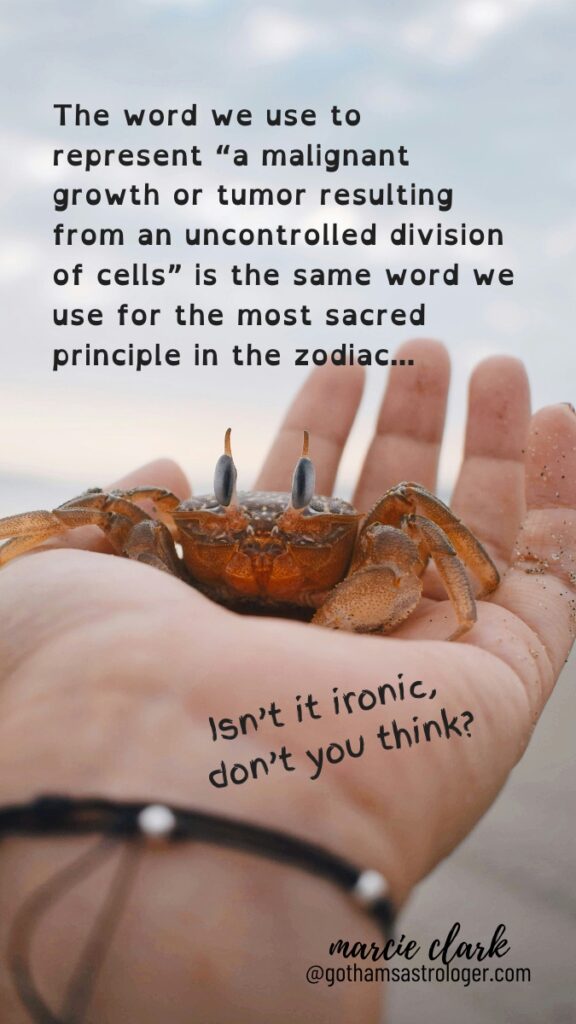 Cute little crab photo with quote "The word we use to represent "a malignant growth or tumor resulting from an uncontrolled division of cells is the same word we use for the most sacred principle in the zodiac... Isn't it ironic, don't you think? --Marcie Clark